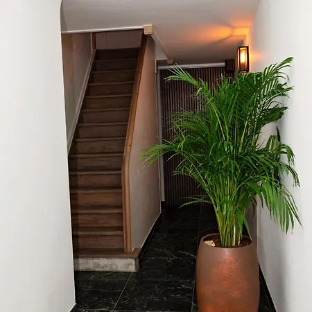 Botanique Airbnb,